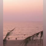 Sunset View